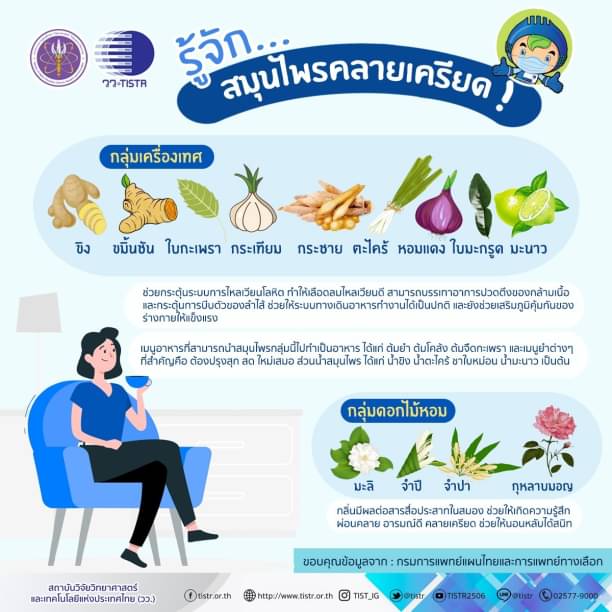 สมุนไพรคลายเครียด